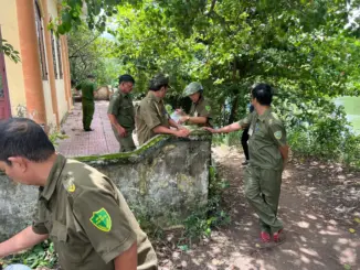 TP.HCM: Ch:áy phòng ngủ khóa trái, 2 sinh viên t:ử v:ong