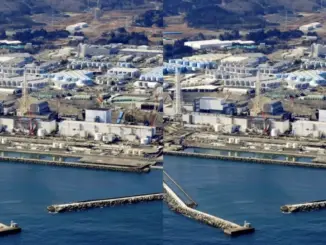 Nhật Bản nối lại xả nước đã qua xử lý từ nhà máy Fukushima
