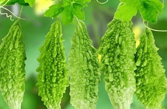 Loại quả ‘thần dược xanh’ chống ung thư, trị tiểu đường nhưng bị nhiều người bỏ qua: Bán đầy chợ Việt Nam