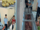Tạm giữ hình sự 4 người ở Thanh Hoá gom lợn mắc dịch tả mang bán
