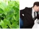 May mắn gặp loài cây này thì đừng vội chặt đi, hàng nghìn người sống lại với 7 bài thuốc từ lá của nó