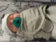 Em bé ‘lớn tuổi nhất thế giới’ vừa chào đời
