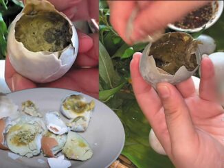 Trứng gà rất tốt nhưng có 7 loại trứng không nên ăn: Nhẹ thì đau bụng, nặng thì ngộ đ:ộc