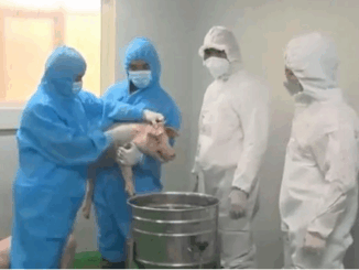 Báo động đỏ trên 30 tỉnh