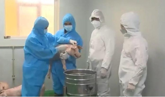 Báo động đỏ trên 30 tỉnh Báo động đỏ trên 30 tỉnh