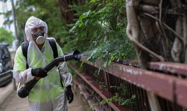 Muỗi truyền bệnh chikungunya lan rộng, Việt Nam có nguy cơ?Muỗi truyền bệnh chikungunya lan rộng, Việt Nam có nguy cơ?