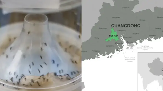 Dịch bệnh Chikungunya thêm 3 ca mắc mới ở Hồng Kông, điểm chung là gì?