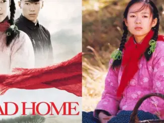 Nhìn lại vẻ đẹp thuần khiết trong lần đầu chạm ngõ điện ảnh của Chương Tử Di